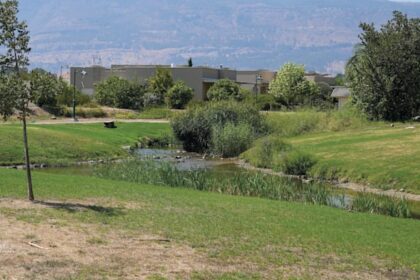 House on Galilee kibbutz sold for NIS 5.05m