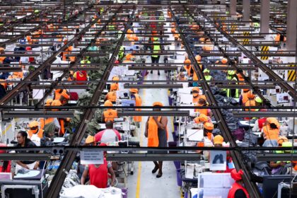 South Africa: Business Activity Grows for the Fifth Consecutive Month, but Companies Remain Cautious