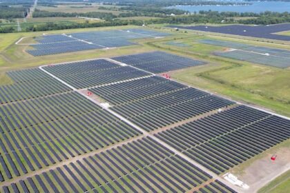 Investors back Doral's optimism