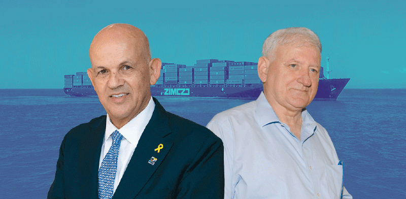 Consultants back ZIM board against opposition shareholders