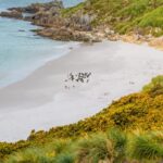 Israel’s Navitas to invest $1.17b in Falklands oil field