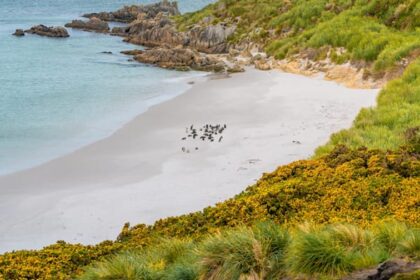 Israel’s Navitas to invest $1.17b in Falklands oil field