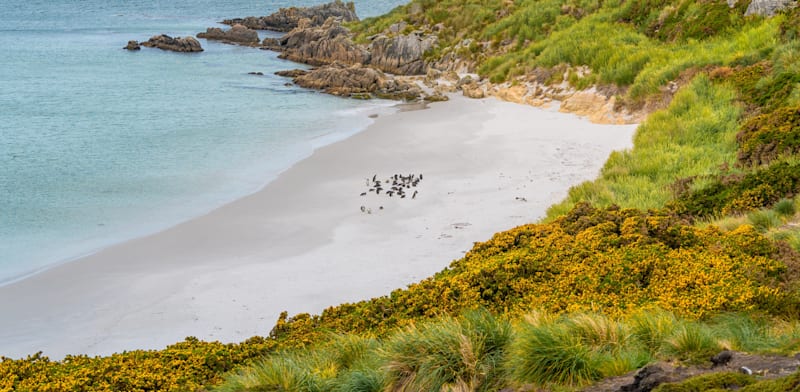 Israel’s Navitas to invest $1.17b in Falklands oil field