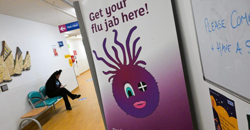 A world without flu is possible