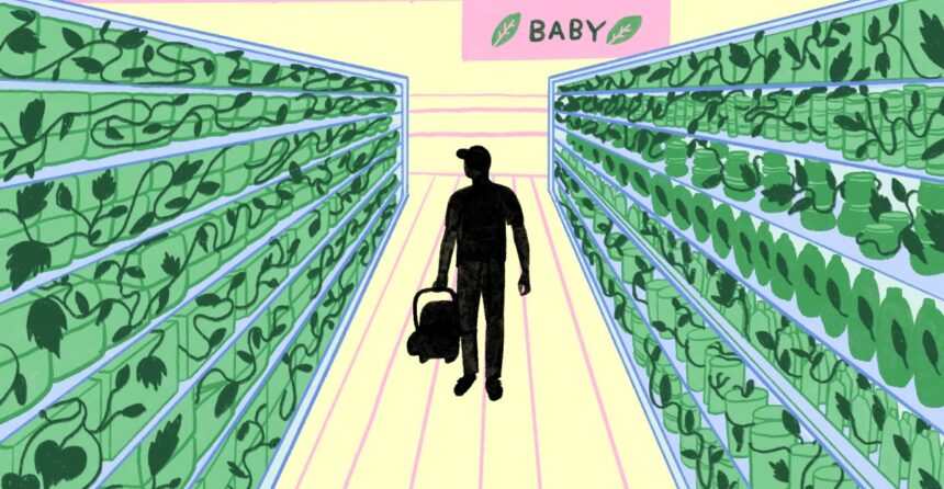 How plant-based marketing took over everything — even diapers
