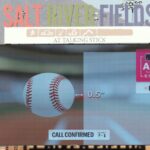 What baseball’s “robot umpires” tell us about the future of work