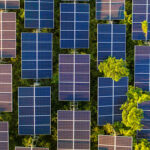 EDF closes financing for Israel’s biggest solar energy field
