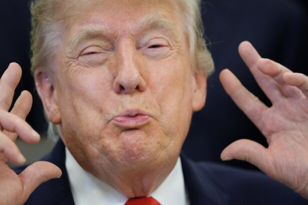 Trump just found the worst way to regulate AI