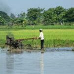 New York's $30 Million Tariff Relief Program Signals Broader Stress in U.S. Agricultural Trade