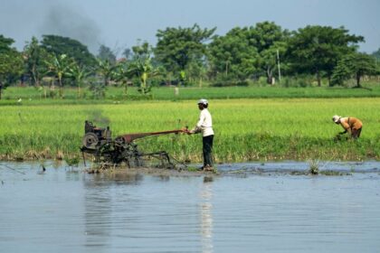 New York's $30 Million Tariff Relief Program Signals Broader Stress in U.S. Agricultural Trade