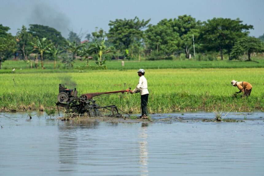 New York's $30 Million Tariff Relief Program Signals Broader Stress in U.S. Agricultural Trade