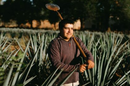 Rural Mexico at the Crossroads: How Agriculture, Energy Policy and Global Trade Pressures Are Reshaping One of the World's Key Emerging Economies