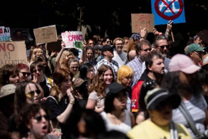 How public opinion is turning against AI