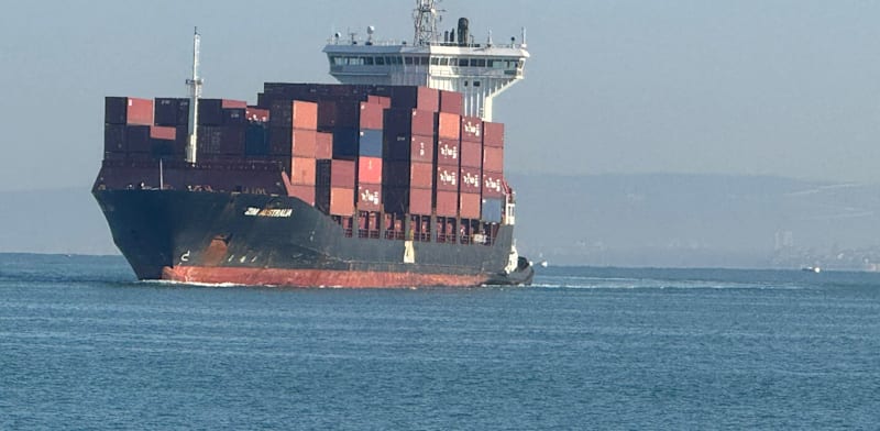 Defense minister opposes ZIM sale