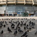 Recanati family buys control of Maccabi Tel Aviv basketball team
