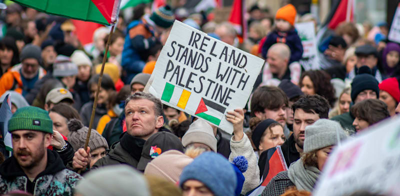 Irish remove Elbit fog landing system from gov’t jet